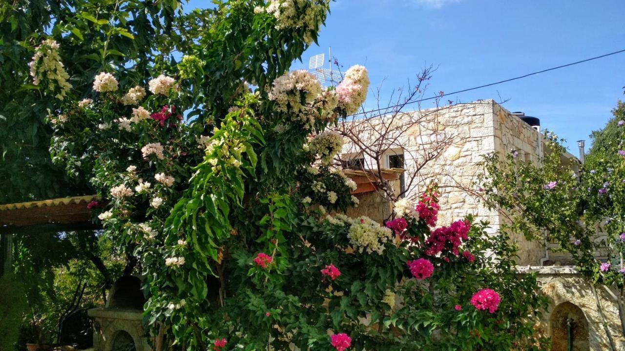 Villa Vera Sívota Exterior foto